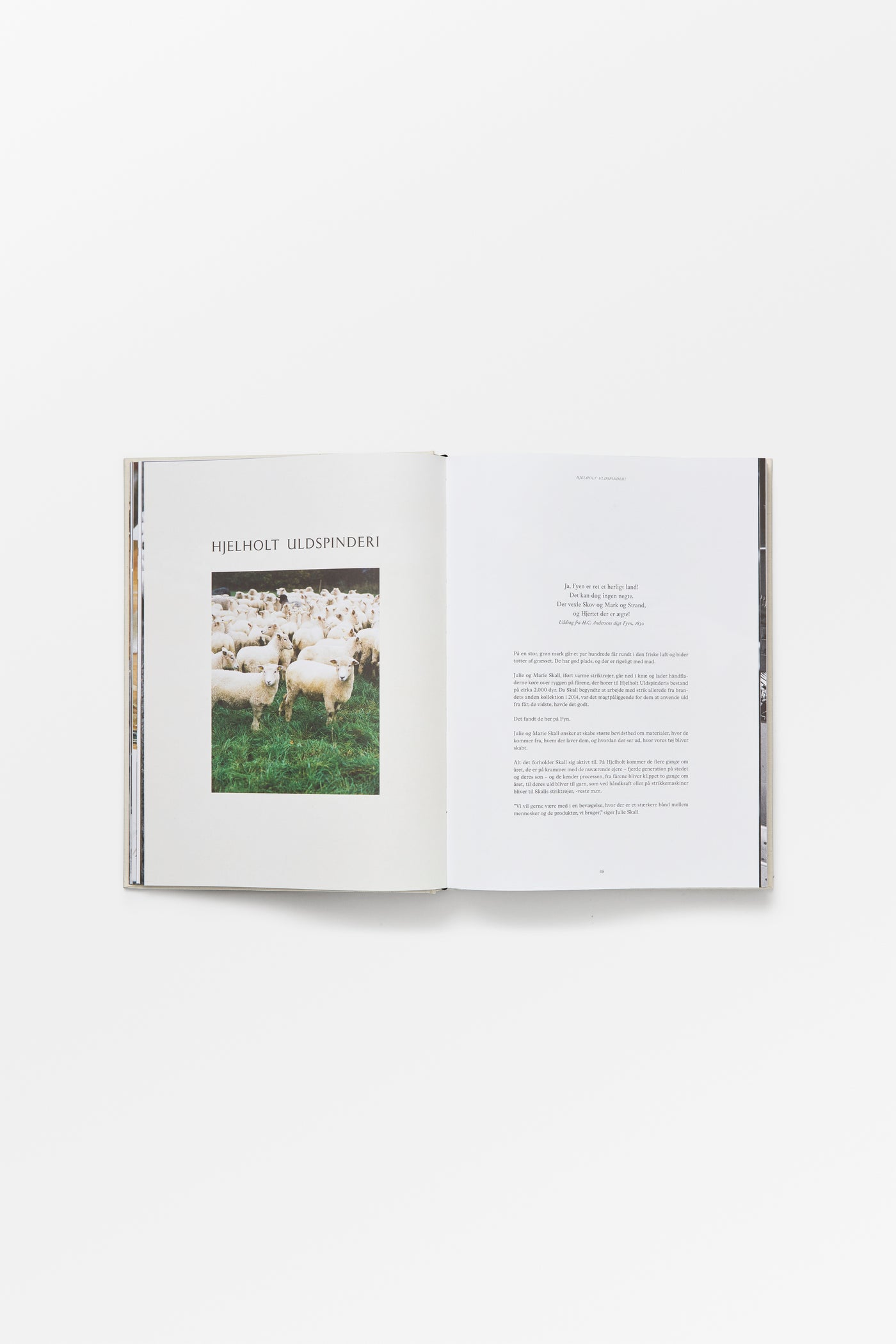 Skall Studio SKALL STRIK, bog Book Danish